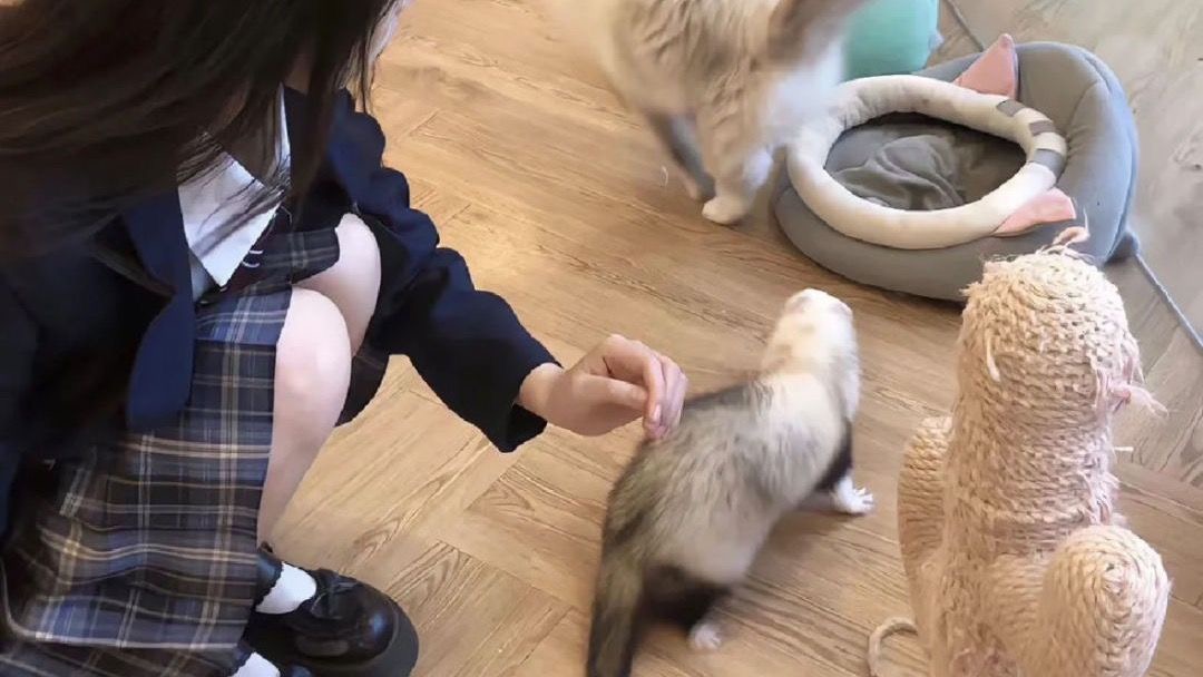 用户封面