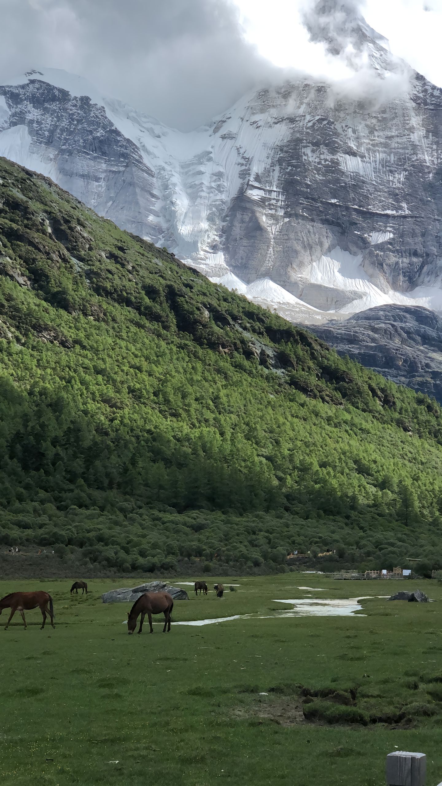 甘孜稻城亚丁景区（川西美景）-青争开放社区