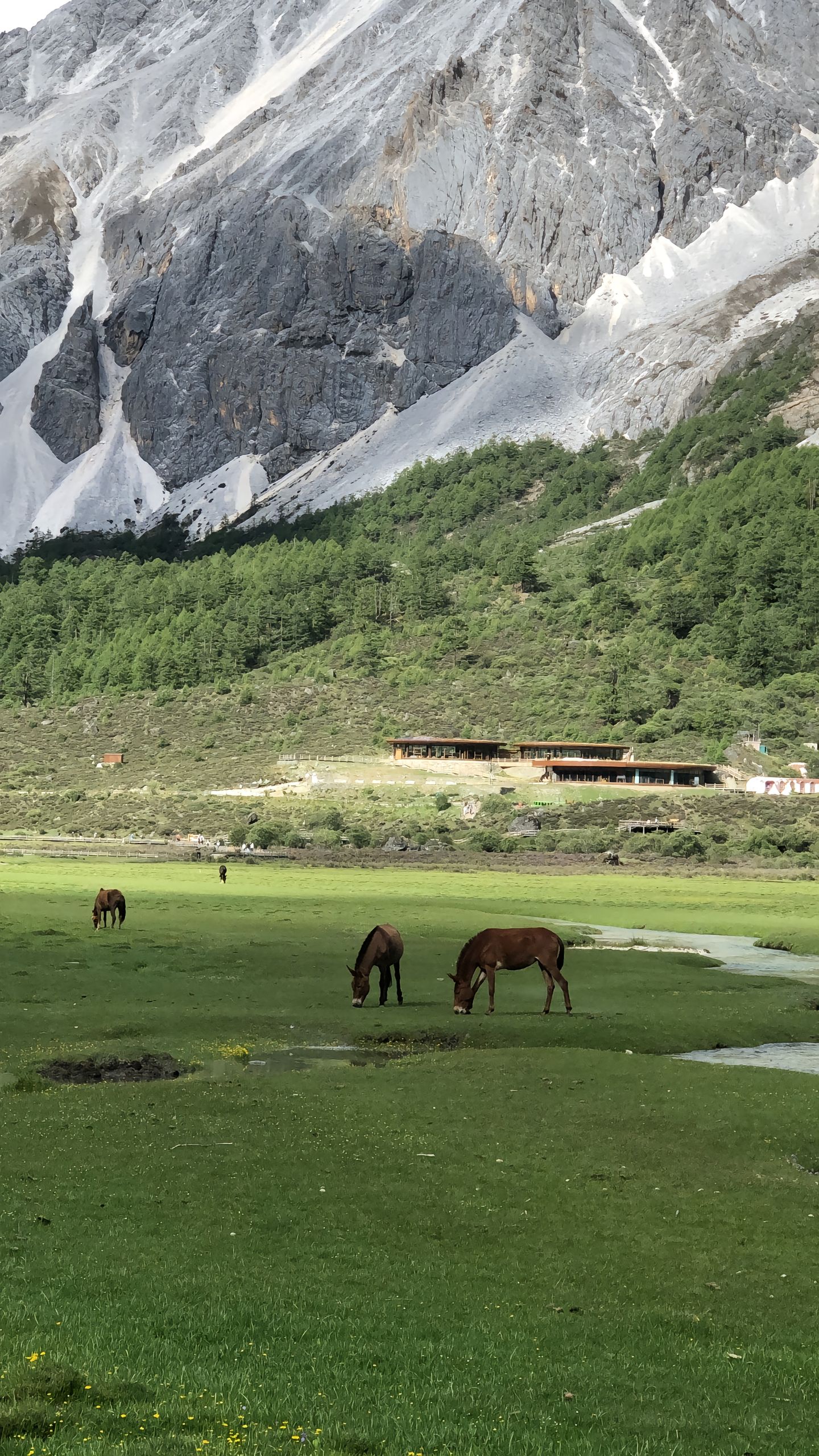 甘孜稻城亚丁景区（川西美景）-青争开放社区