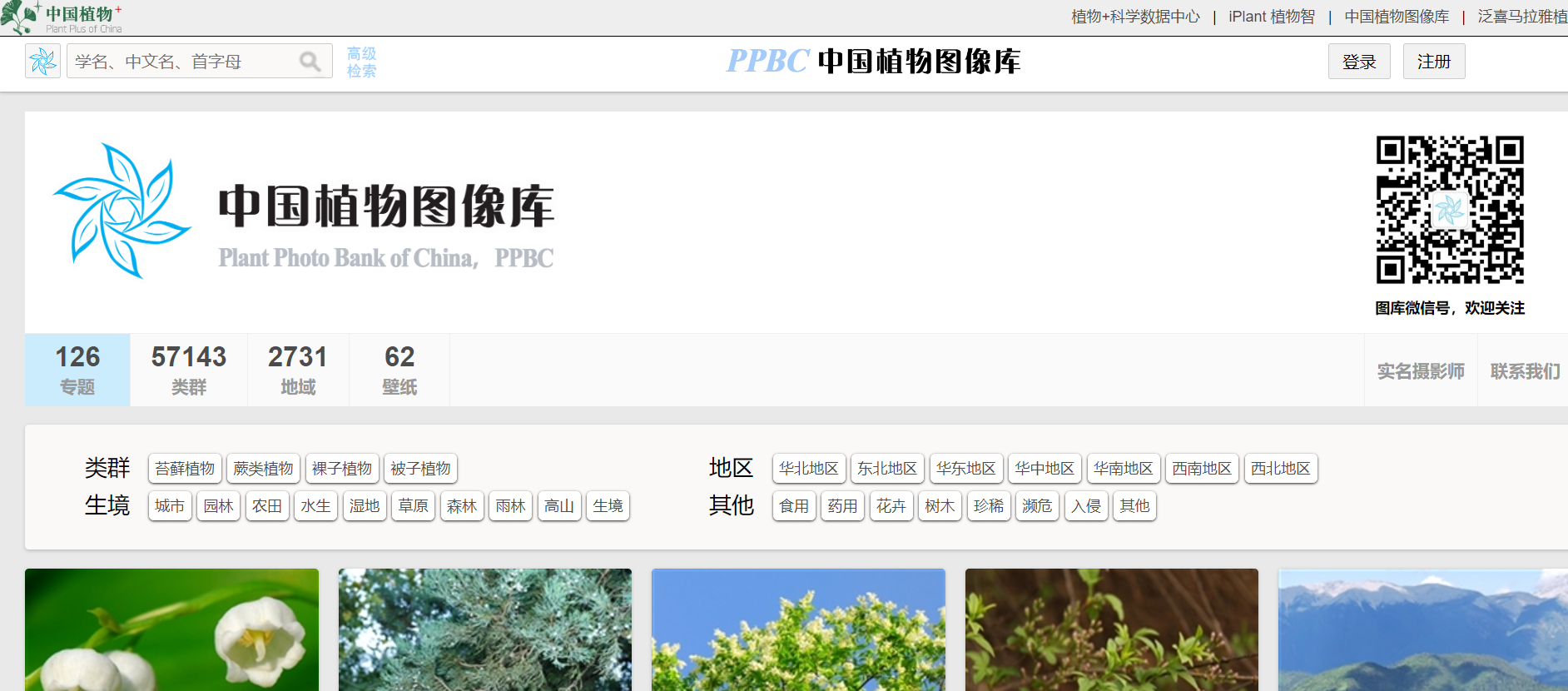 中国植物图像库-青争开放社区