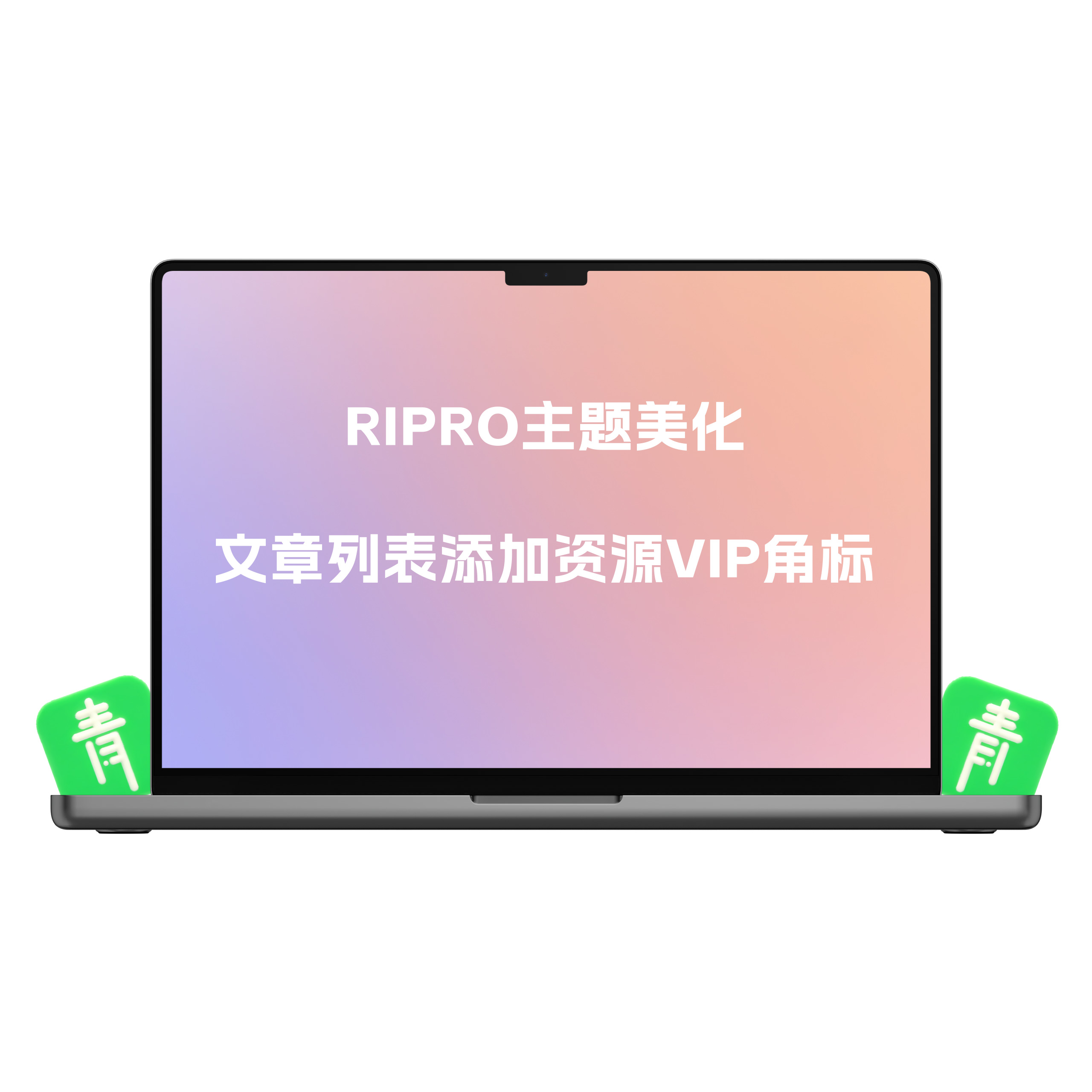 RiPro主题美化 - 教你文章列表添加资源VIP角标-青争开放社区